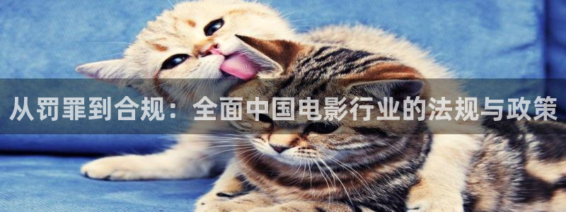 樱花视频在线播放免费观看电视剧的樱桃