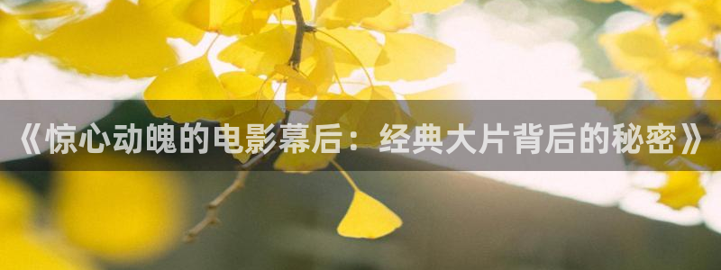樱花视频泛黄