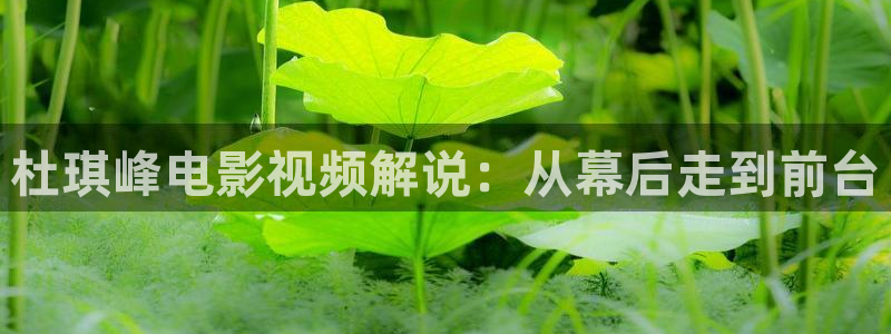 樱花影视免费在线看电视