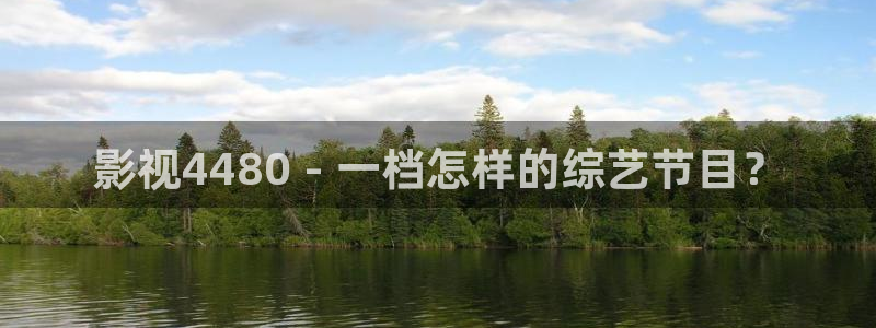 后宫露营樱花视频