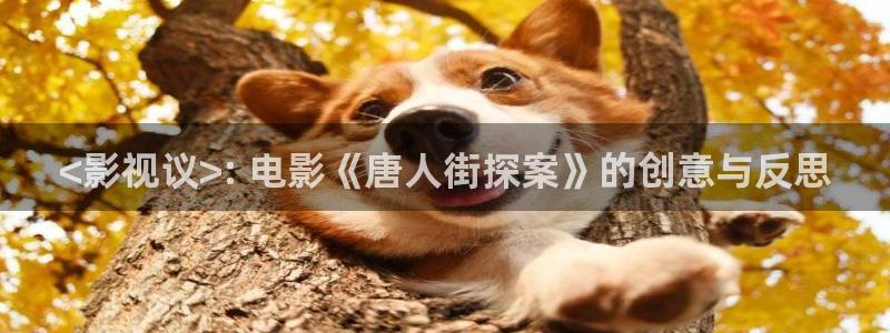樱花影院电视剧