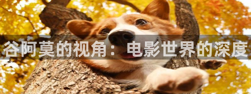 樱花视频网站