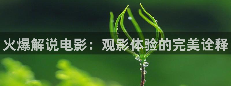 樱花影院电视剧高清在线观看