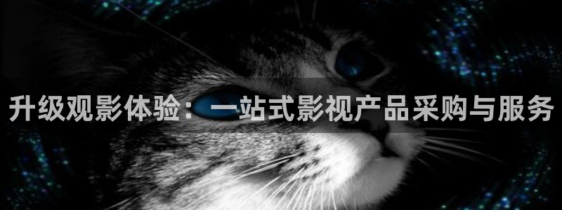 韩国樱花视频