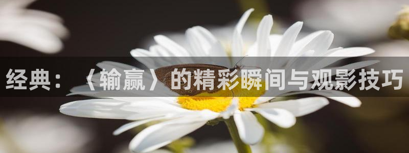樱花视频在线播放