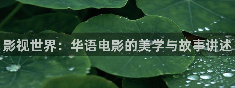 动漫樱花视频在线观看