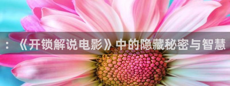 樱花视频大全免费观看电视剧