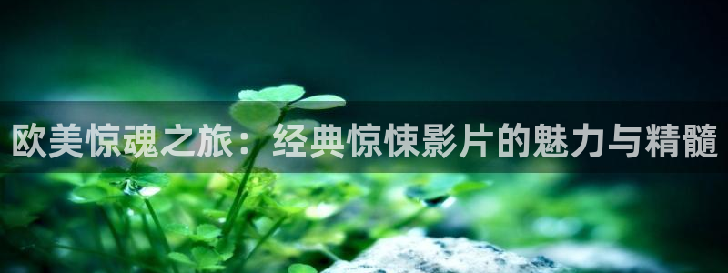 樱花视频黄安装
