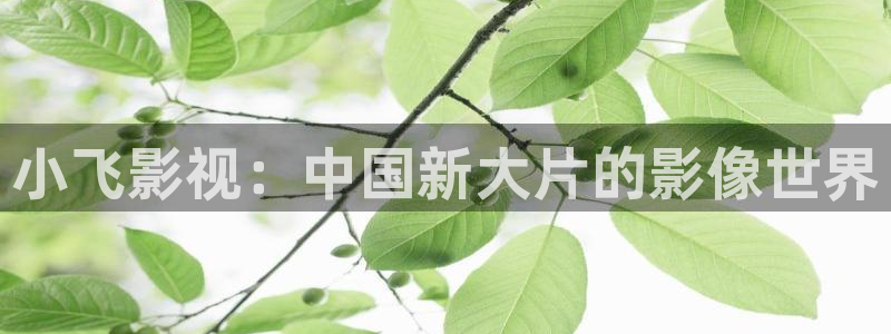 韩国樱花影院经典电视剧免费