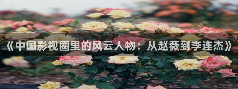 樱花视频热门电影有哪些