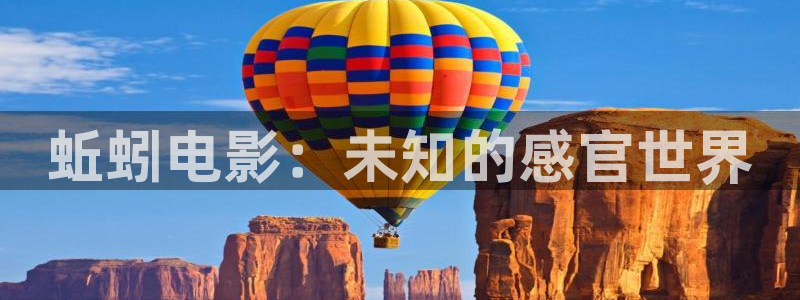 樱花视频在线观看免费完整版