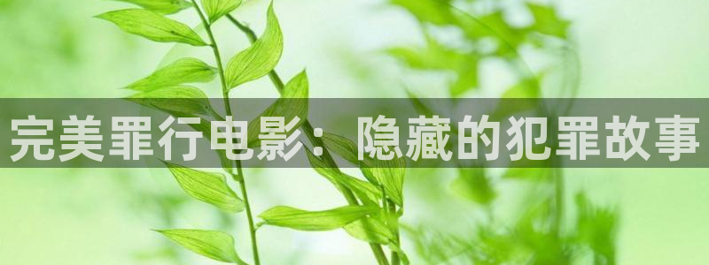 樱花视频高清资源在线观看