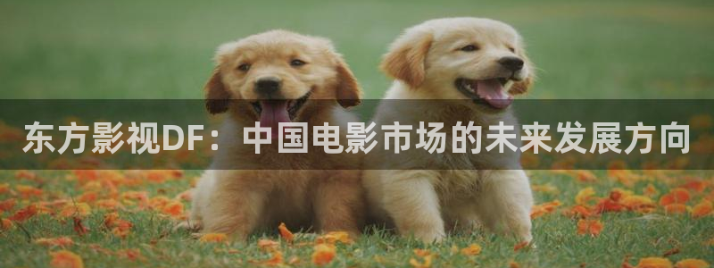樱花视频国产