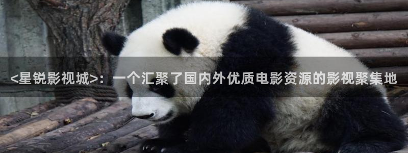 三月樱花视频