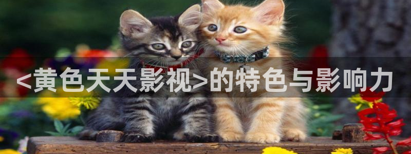 樱花视频欣赏