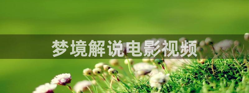 麻豆樱花视频