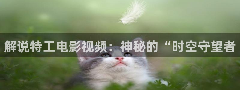 樱花视频91