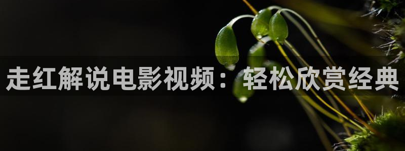 樱花视频三级