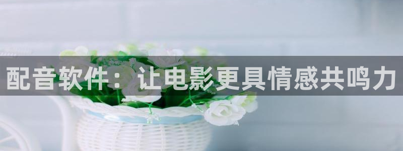 唯美樱花视频