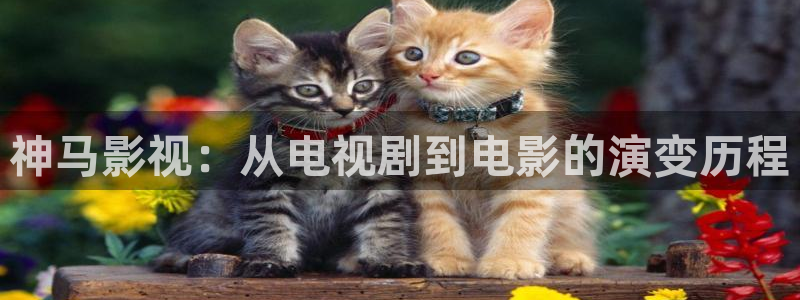樱花影视app
