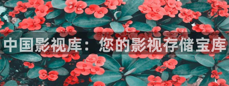 樱花樱花视频