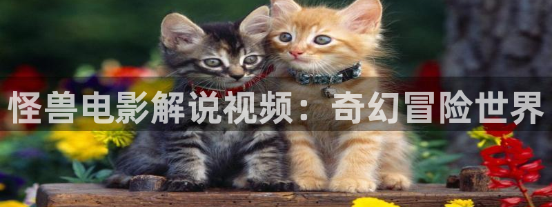 樱花影院在线观看免费播放电视剧