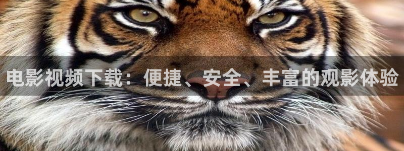 t樱花视频