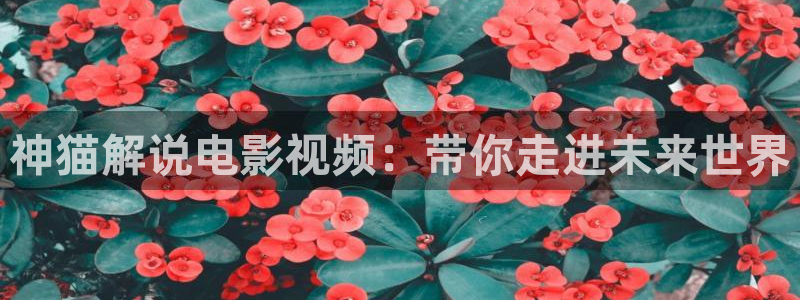 樱花影院高清电影
