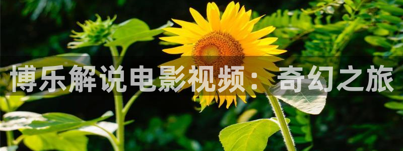 青龙寺樱花视频