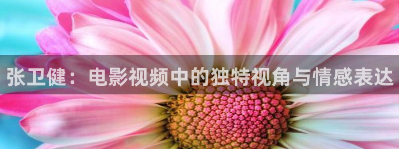 樱花视频免费观看高清：张卫健：电影视频中的独特视角与情感表达