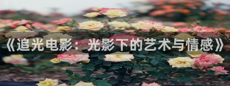 樱花影院最新电视剧