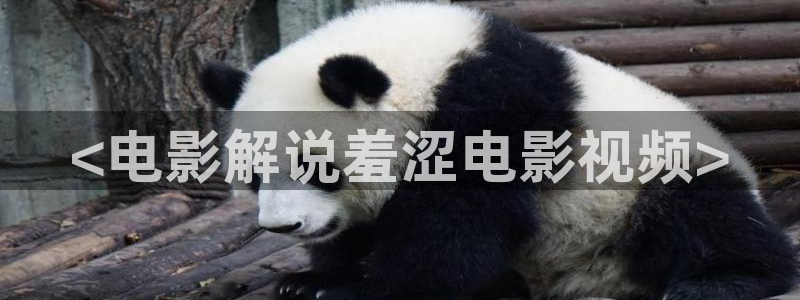樱花视频日本