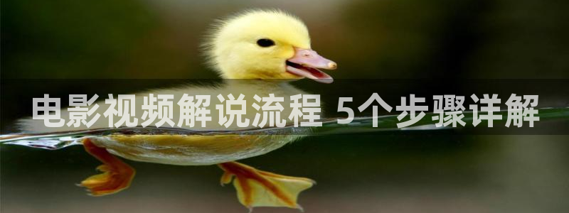 电影樱花视频在线观看