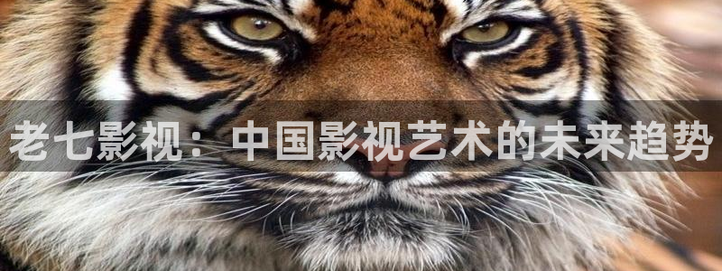 樱花视频一区