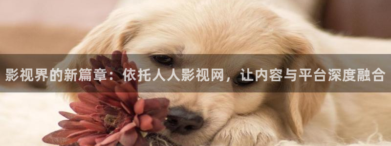 贵州万亩樱花视频：影视界的新篇章：依托人人影视网，让内容与平台深度融合
