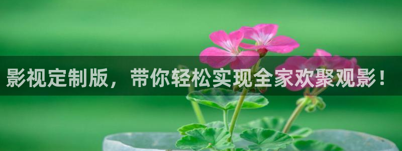 樱花影视免费版在线观看