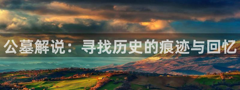 观看樱花视频入口
