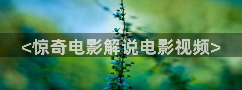 无颜之月樱花视频