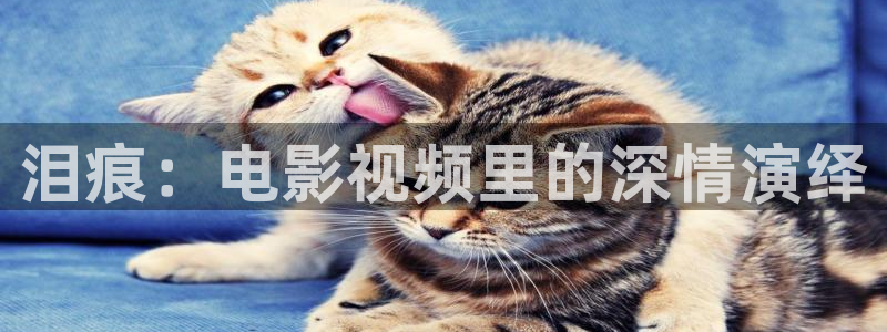 樱花视频s