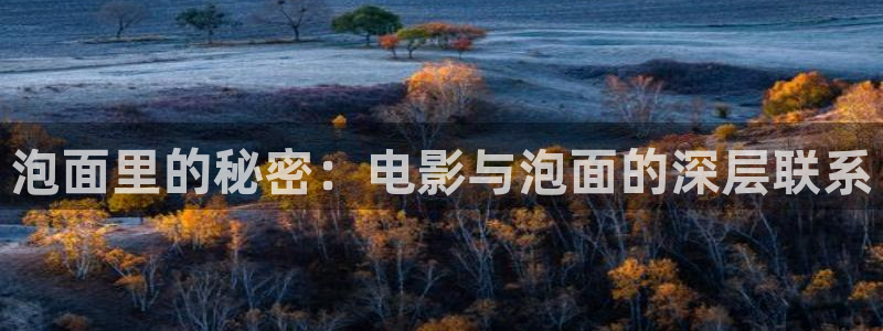 日本樱花视频真人版