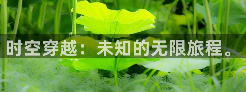 如何找到樱花影视二零二四