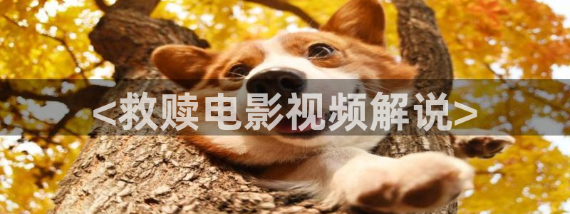 樱花影片