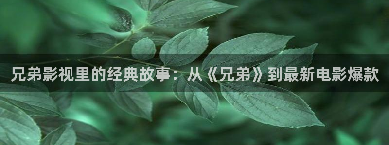 kdbacc樱花视频