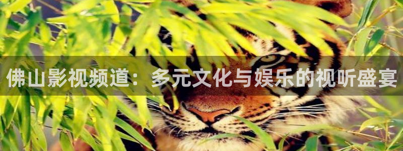 樱花视频网站下载