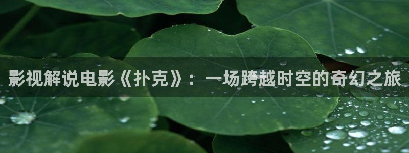 樱花视频一区